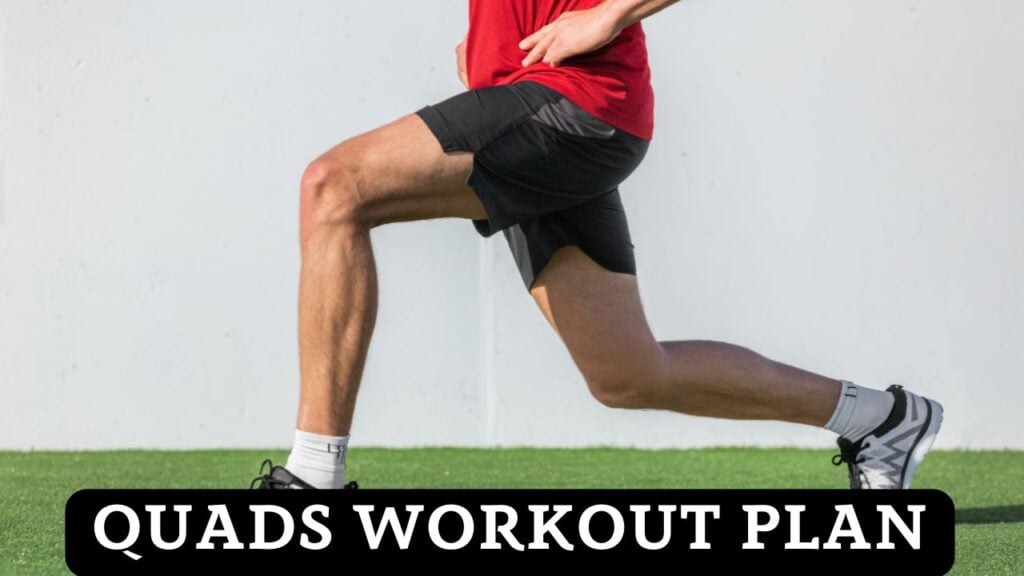 Quad Workout Plans