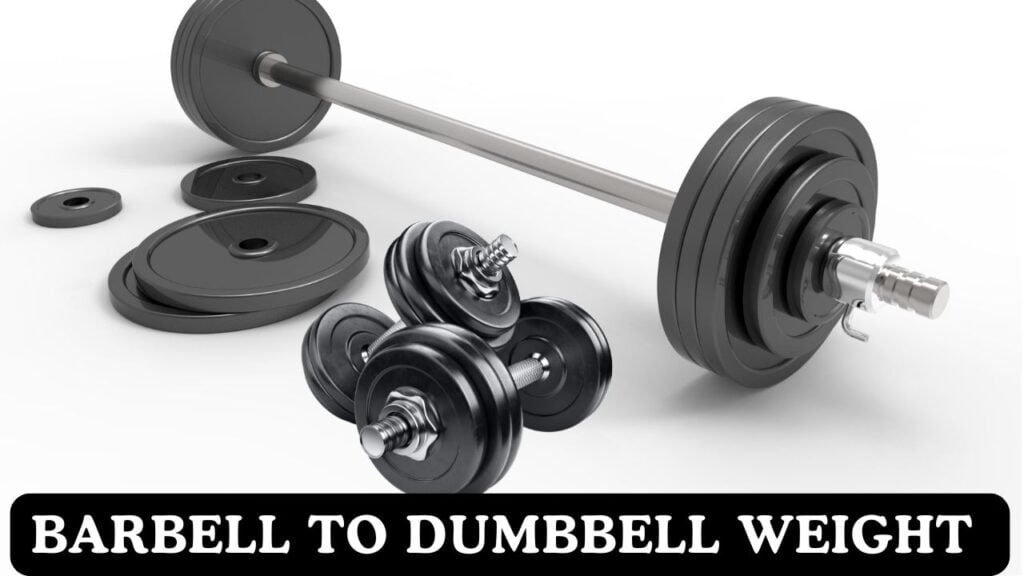 Barbell to Dumbbell Weight