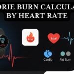 Calorie Burn Calculator By Heart Rate