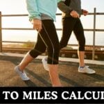 Steps to Miles Calculator