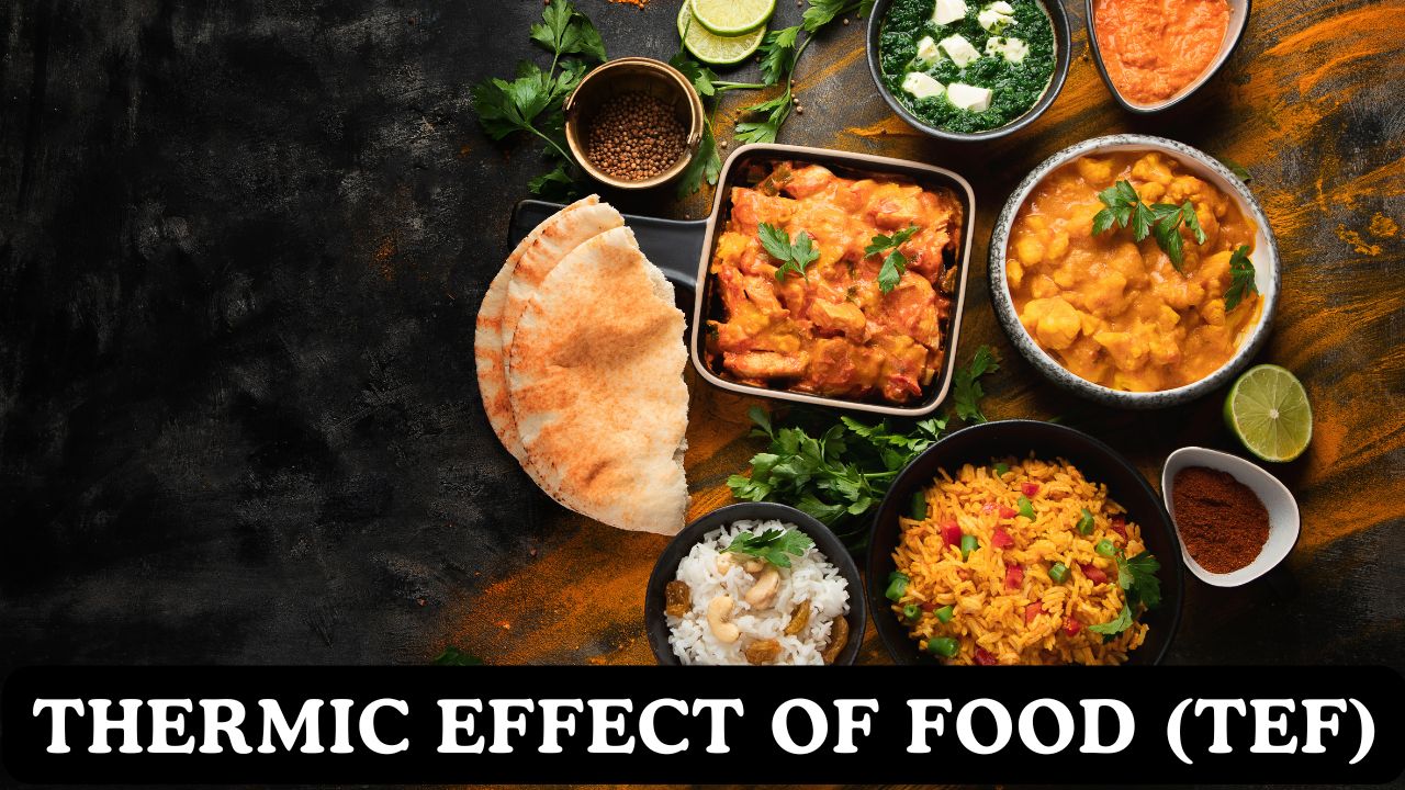 Thermic Effect of Food (TEF) Calculator