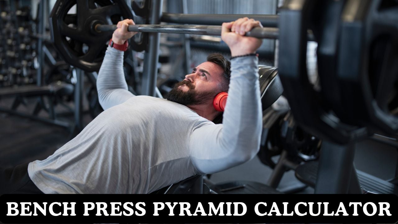 Bench Press Pyramid Calculator