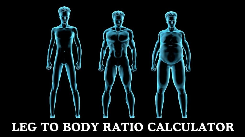 Leg to Body Ratio Calculator