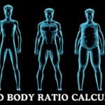 Leg to Body Ratio Calculator