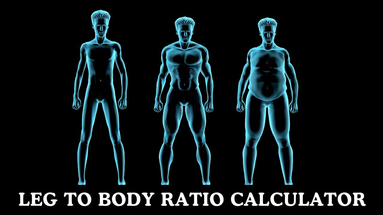 Leg to Body Ratio Calculator