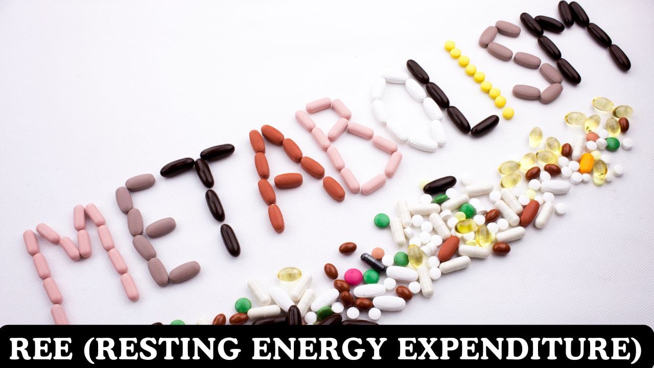 REE (Resting Energy Expenditure)