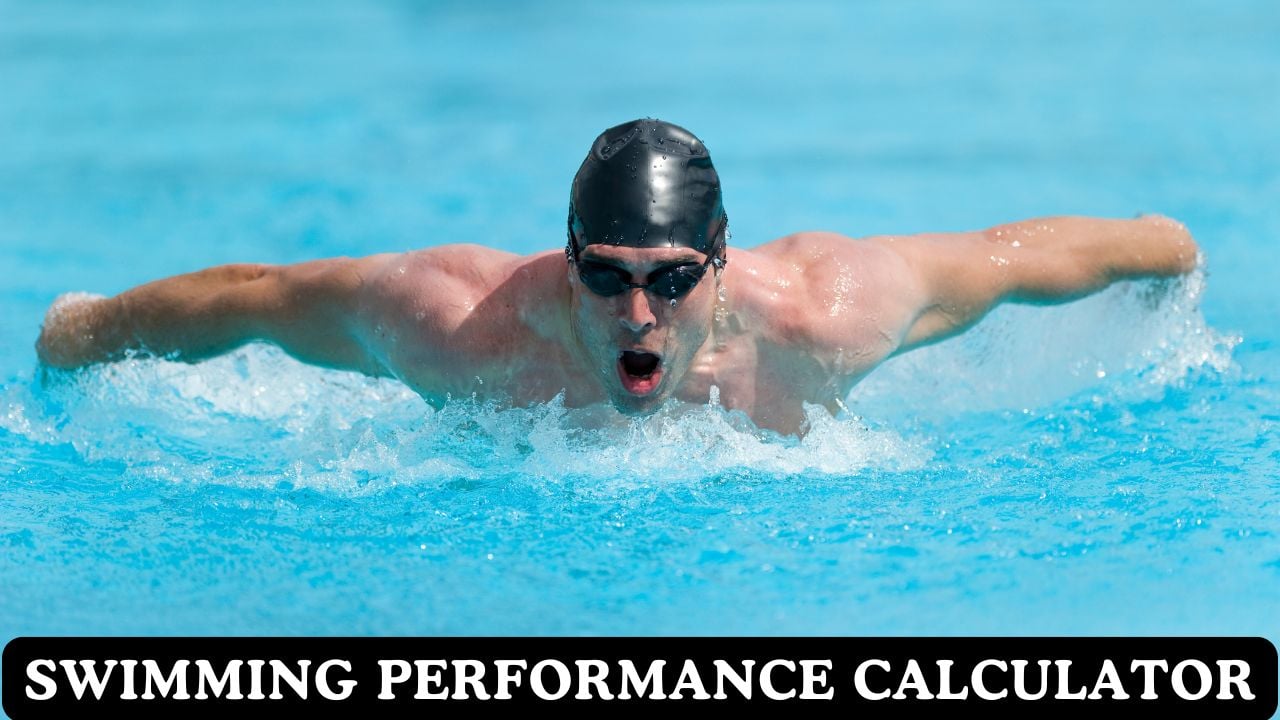 Swimming Performance Calculator
