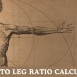 Torso to Leg Ratio Calculator