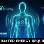 EER Calculator Estimated Energy Requirement
