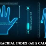 Hand Size to Height Calculator